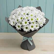 Букет цветов из:  Хризантемы #REPLACE_PRED# Новоспасском