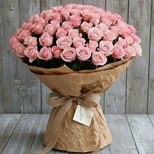 Букет 151 Роза Роуз #REPLACE_PRED# Новоспасском