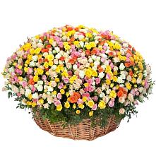 Премиум букет из: Розы #REPLACE_PRED# Новоспасском