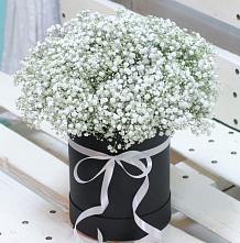 Цветочная композиция из Гипсофила в шляпной коробке #REPLACE_PRED# Новоспасском