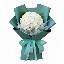 Букет цветов из:  Гортензия в Новоспасском